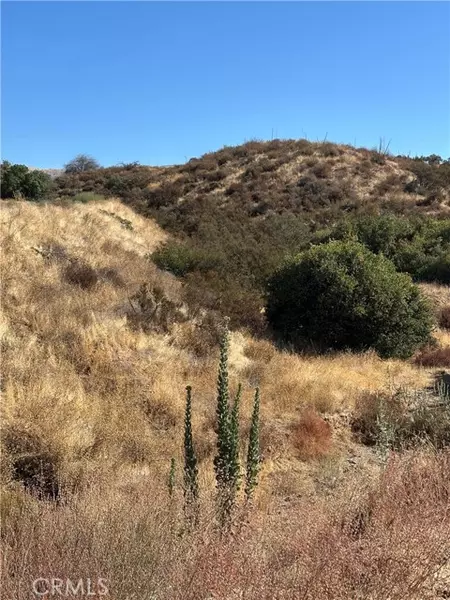 0 Koontz RD, Agua Dulce, CA 91390