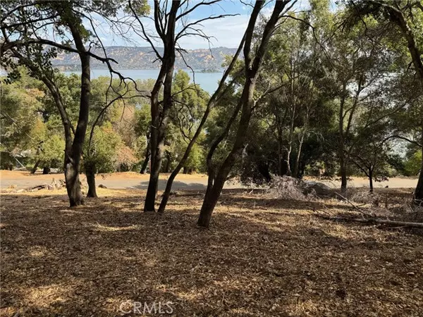 3137 Southlake DR, Kelseyville, CA 95451