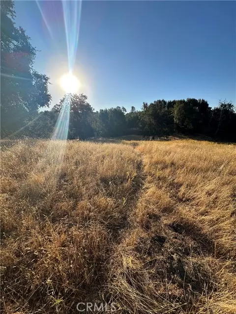 Mariposa, CA 95338,3899 H La Rosa RD