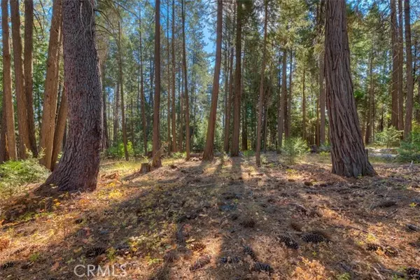 Magalia, CA 95954,0 Fern Glenn WAY