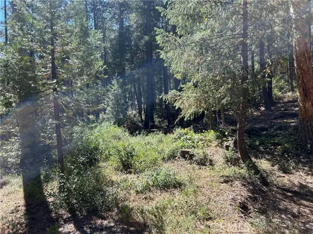 Magalia, CA 95954,0 coutelenc