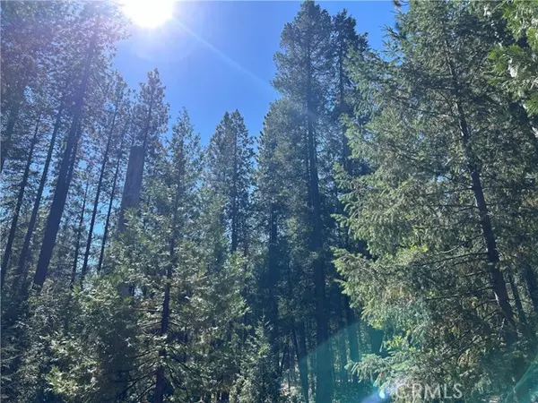 Magalia, CA 95954,0 coutelenc