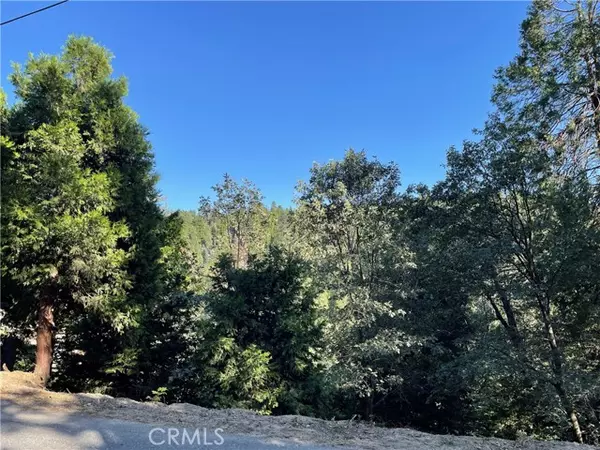 Lake Arrowhead, CA 92352,1098 Lot 1098 Victoria CT
