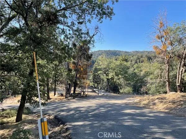 Arrowbear, CA 92382,40 Lot 40 Music Camp RD