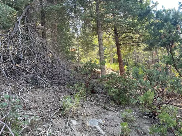 Twin Peaks, CA 92391,28 Lot 28 Forest LN