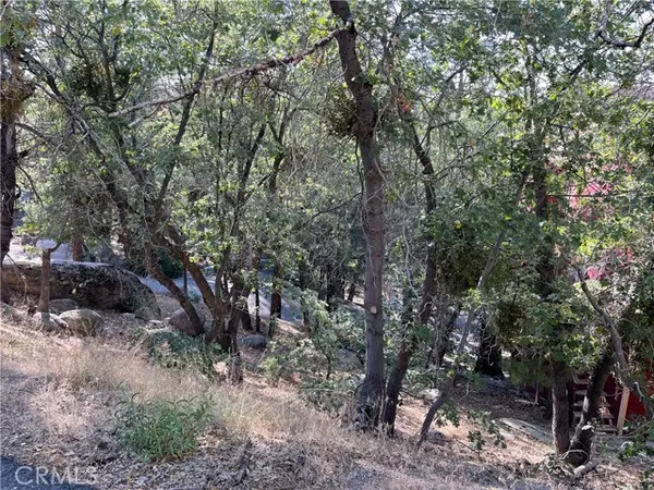 Arrowbear, CA 92382,24 Lot 24 Conway DR