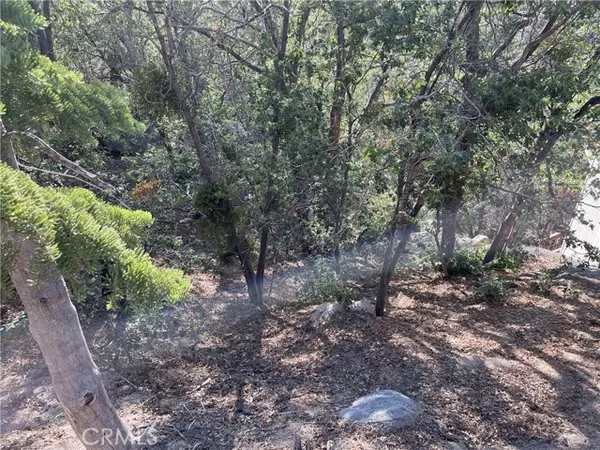 Arrowbear, CA 92382,23 Lot 23 Music Camp RD