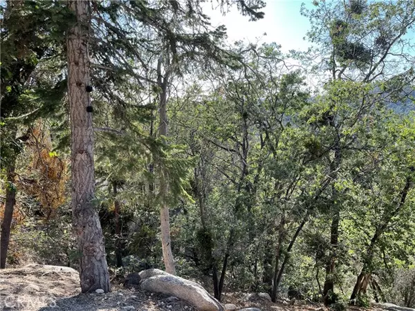 Arrowbear, CA 92382,23 Lot 23 Music Camp RD