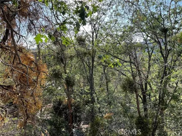 Arrowbear, CA 92382,23 Lot 23 Music Camp RD