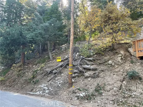 29 Lot 29 Forest LN, Twin Peaks, CA 92391