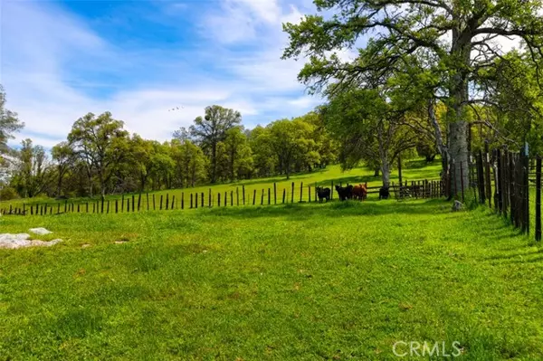 Mariposa, CA 95338,237 Acres White Rock RD