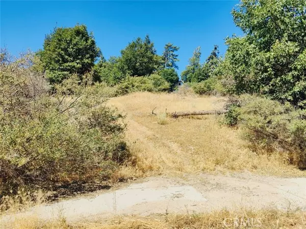 Cedar Glen, CA 92321,289 Lilac WAY