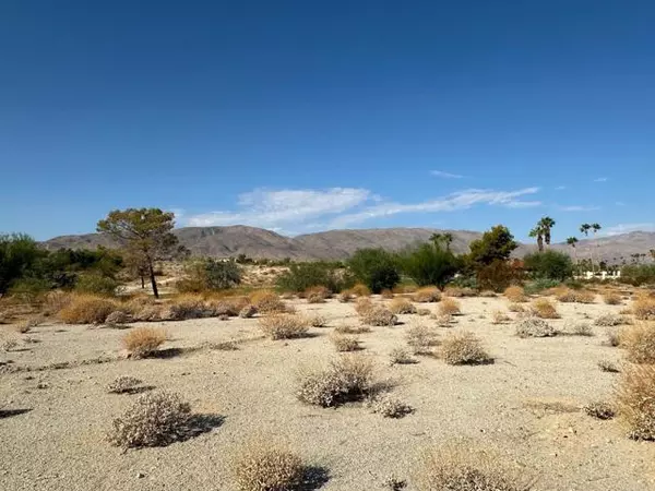 0 Roadrunner DR, Borrego Springs, CA 92004