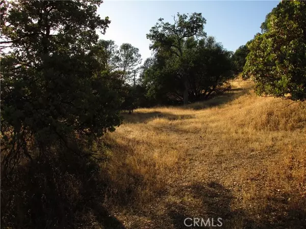 North Fork, CA 93643,2 Ac Old Oaks CT