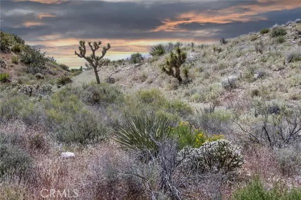 Yucca Valley, CA 92284,54129 Pinon DR