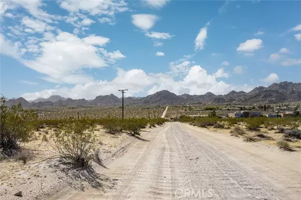 Joshua Tree, CA 92252,63726 Chollita RD