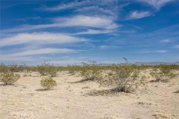 Joshua Tree, CA 92252,63726 Chollita RD