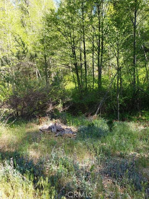 Cedar Glen, CA 92321,29531 Little Bear Creek RD