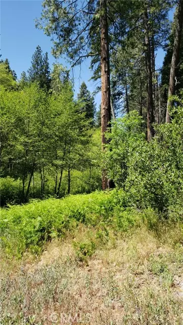 Cedar Glen, CA 92321,29531 Little Bear Creek RD