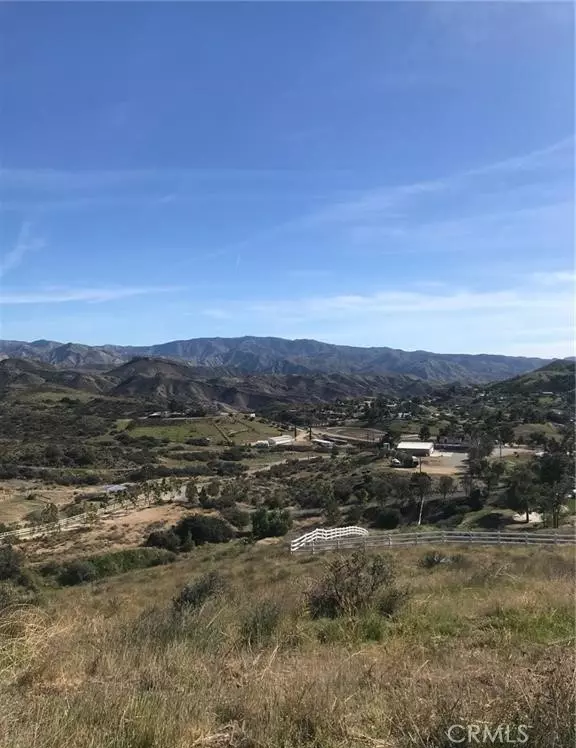 Agua Dulce, CA 91350,0 Vac/Vic Willow Ln/ Woolsox RD