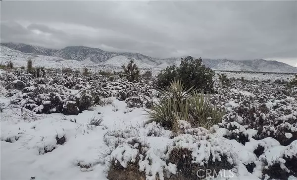 Lucerne Valley, CA 92356,10 Mesa