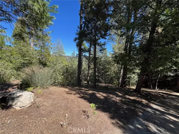 Lake Arrowhead, CA 92352,27528 North Bay RD