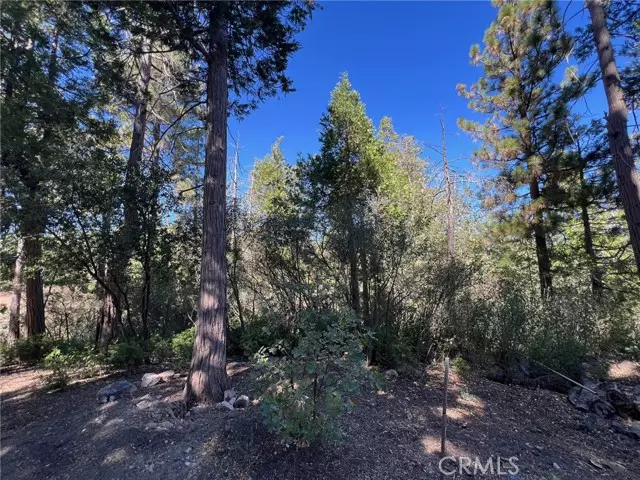 27530 North Bay RD, Lake Arrowhead, CA 92352
