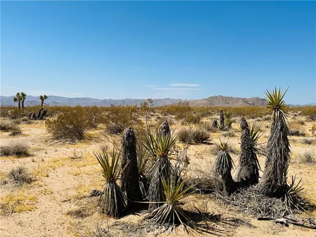 Joshua Tree, CA 92252,5 Sunset RD