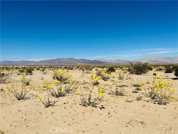 0 Near Shelton RD, Twentynine Palms, CA 92277