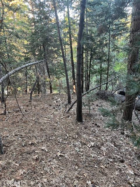 Twin Peaks, CA 92391,0 Lake Forest DR