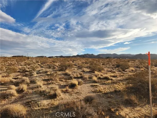 Johnson Valley, CA 92285,52000 Ocotillo RD