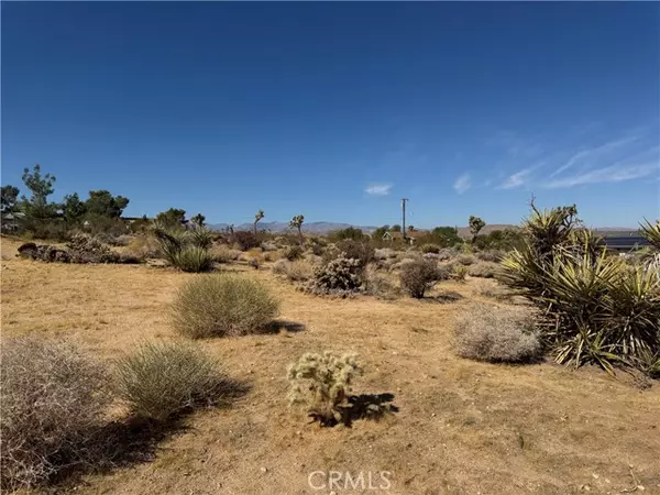 Joshua Tree, CA 92252,7218 Juniper RD