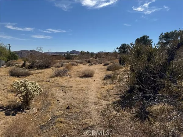 Joshua Tree, CA 92252,7217 Sunny Vista RD