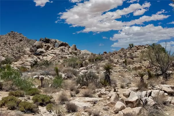 Joshua Tree, CA 92252,60300 Mountain TRL