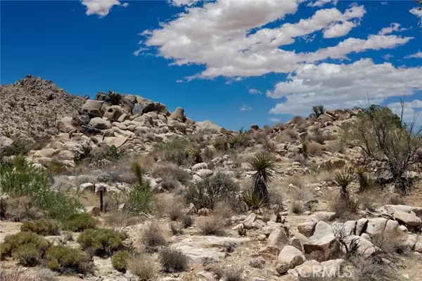 Joshua Tree, CA 92252,60300 Mountain TRL