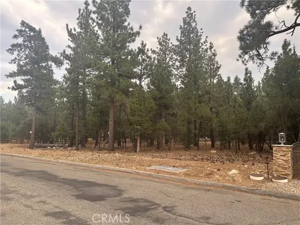 Big Bear City, CA 92314,0 Appaloosa