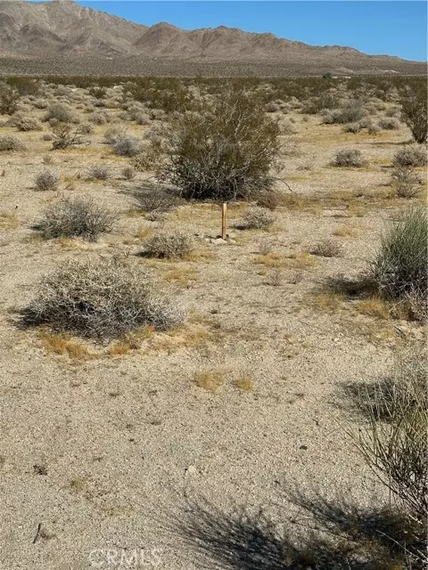 Barstow, CA 92311,0 Fort Irwin Rd/Shenk RNCH