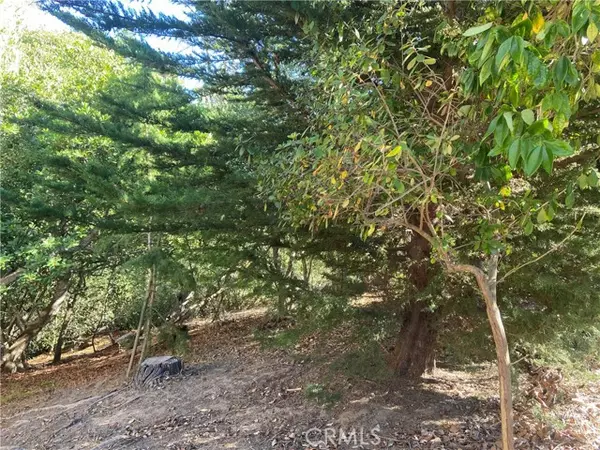 0 Wilton DR, Cambria, CA 93428