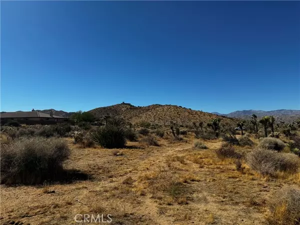 Yucca Valley, CA 92284,0 Plute TRL