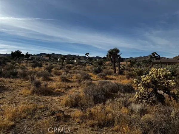 Yucca Valley, CA 92284,0 Plute TRL