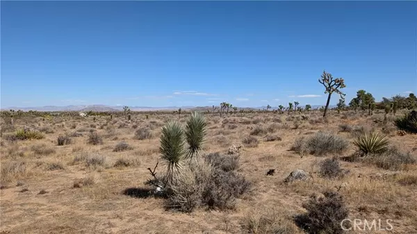 Yucca Valley, CA 92284,0 Aberdeen DR