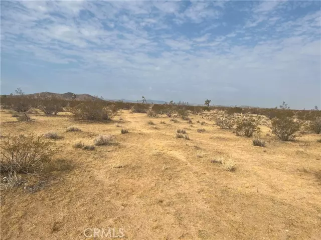 Landers, CA 92285,338 Stable RD