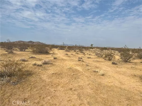 338 Stable RD, Landers, CA 92285