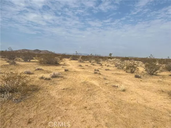 338 Stable RD, Landers, CA 92285