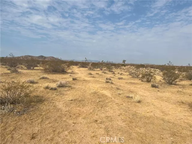 338 Stable RD, Landers, CA 92285