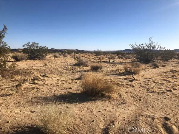 Joshua Tree, CA 92252,5479 Arizona AVE