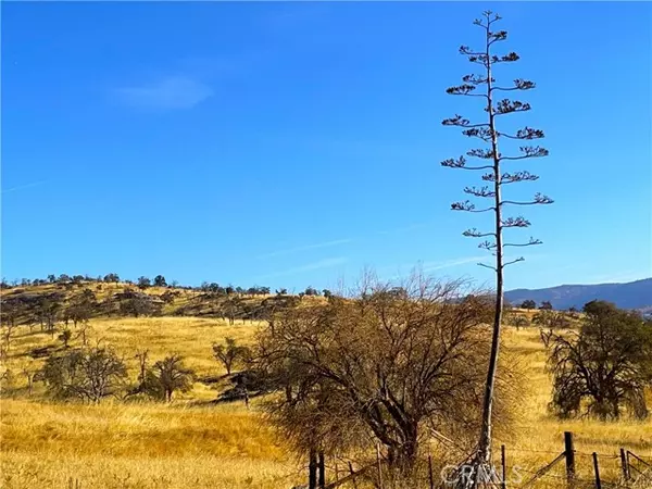 Mariposa, CA 95338,6147 Indian Gulch