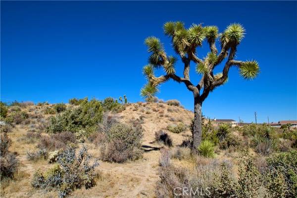 0 Brisbane AVE, Yucca Valley, CA 92284