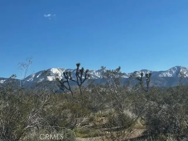 Llano, CA 93544,4 X Largo Vista RD