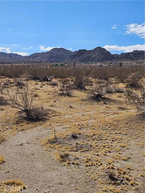 Joshua Tree, CA 92252,0 Twentynine Palms HWY